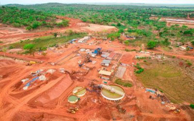 Montepuez Ruby Mining planta 3000 árvores em Namanhumbir