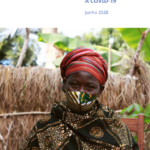 Plano de Resposta Multissectorial à COVID-19 das Nações Unidas