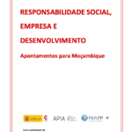 Responsabilidade social, empresa e desenvolvimento em Cabo Delgado