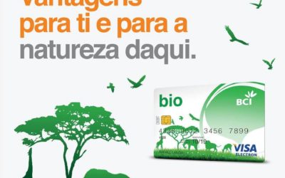 BCI lança campanha para uso de cartão bancário à base de milho